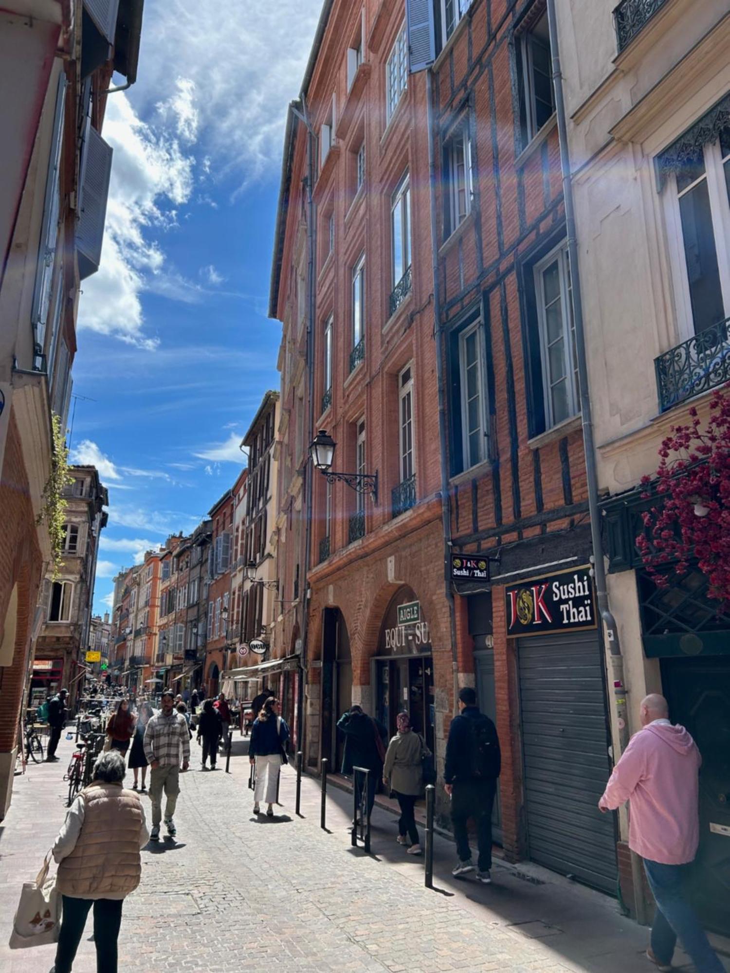 Au Charme Des Carmes - T1 Sur Cour - Metro A & B Apartman Toulouse Kültér fotó